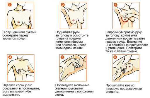 самообследование груди.jpeg
